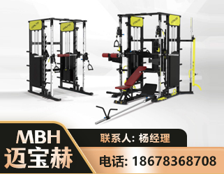 日照多功能综合训练器