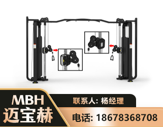 日照大飞鸟训练器