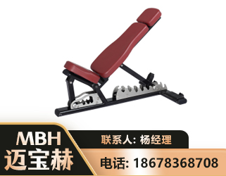 日照可调哑铃椅