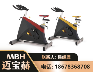 日照商用动感单车