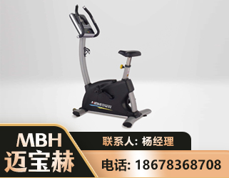 日照立式健身车